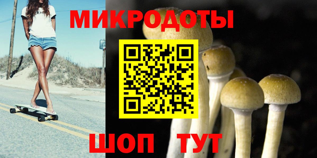 Камышлов  Галлюциногенные грибы мицелий  Псилоцибиновые грибы ЛСД  Вход с VPN 